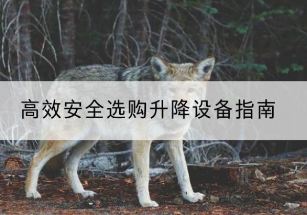 扎囊升降货梯厂家推荐-*安全选购升降设备指南