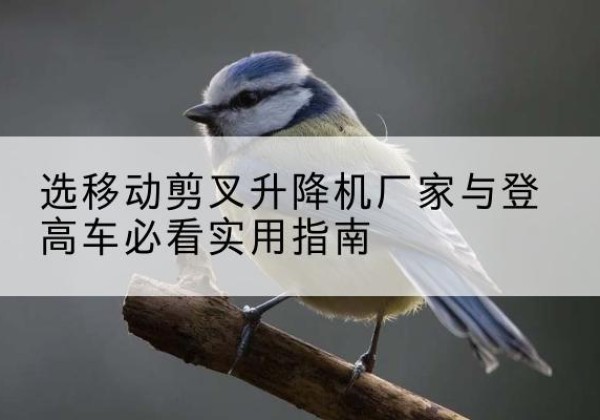 扎囊电动升降机厂家-选移动剪叉升降机厂家与登高车必看实用指南