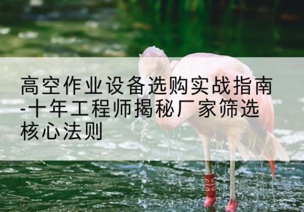 扎囊剪叉式升降机厂家-高空作业设备选购实战指南-十年工程师揭秘厂家筛选核心法则